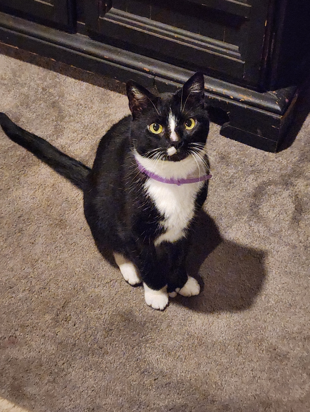 Meet your Posher, Marcia